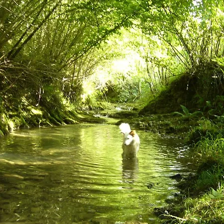 Garro Séjour à la campagne Guerricaiz